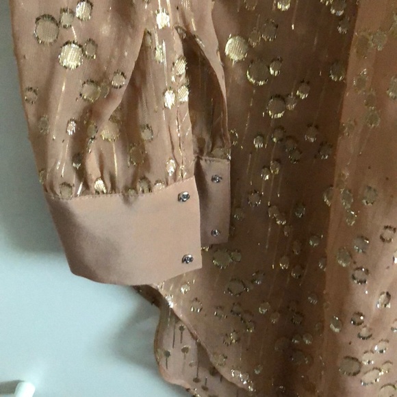 Elizabeth & James Sheer Tunic - Picture 4 of 7